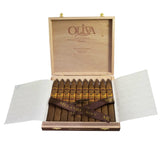 Oliva The  Serie V Melanio Torperdo